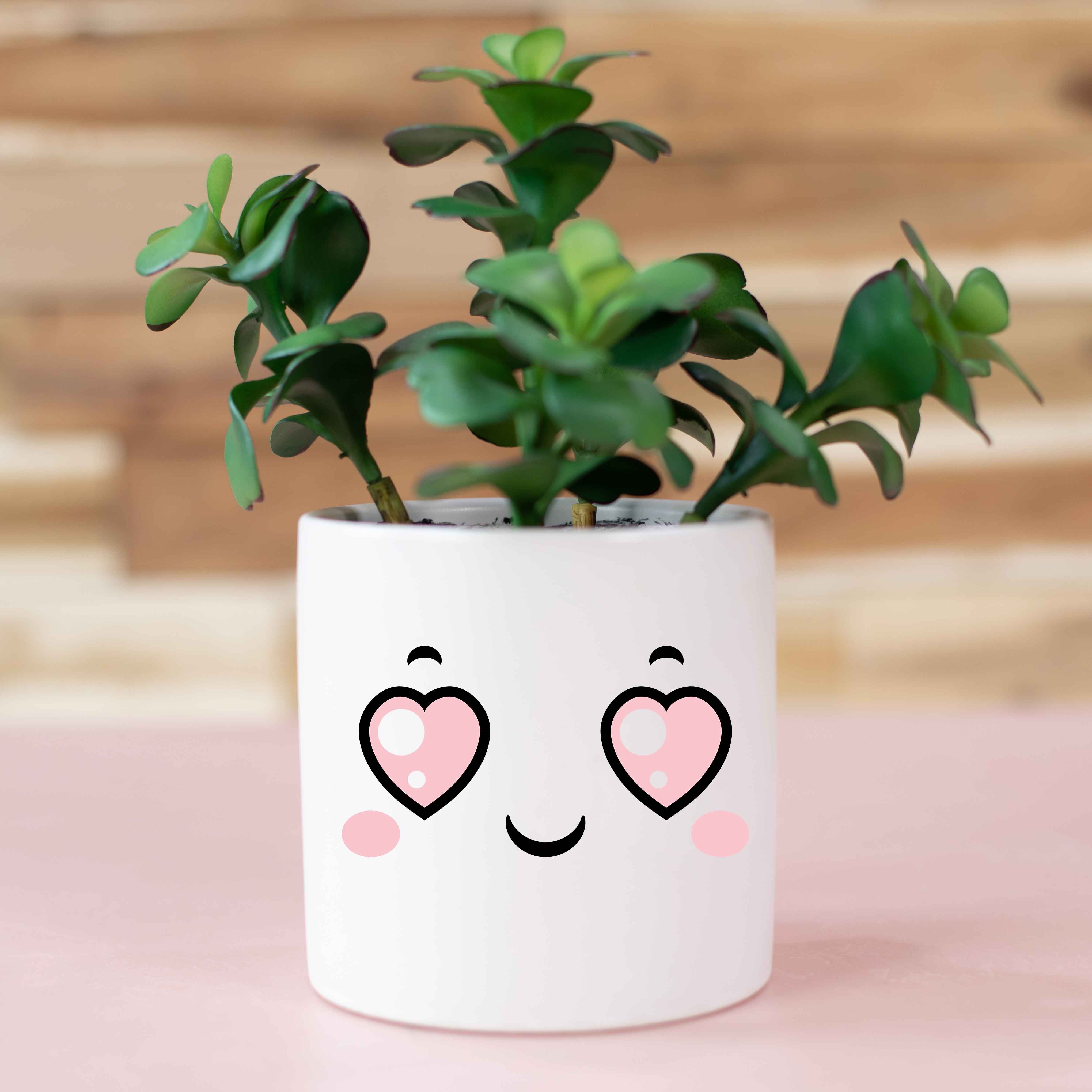 kawaii plant pot KAWAII CUTE FLOWER CERAMIC PLANTER (COD NOT ACCEPTED) – Inkverse store