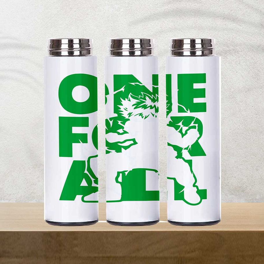 Deku Temperature Bottle
