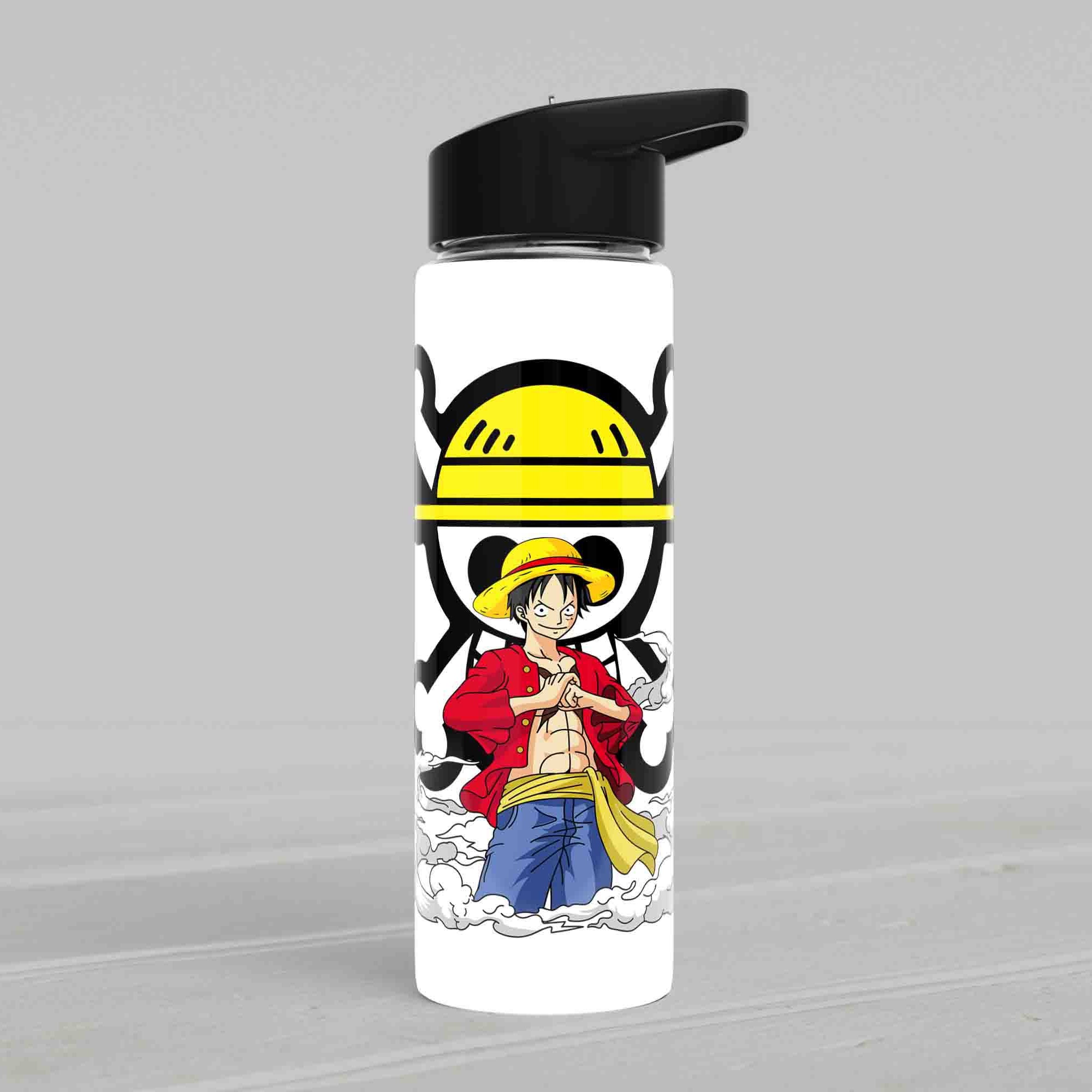 Pirate King metal Water Bottle (750 ml)