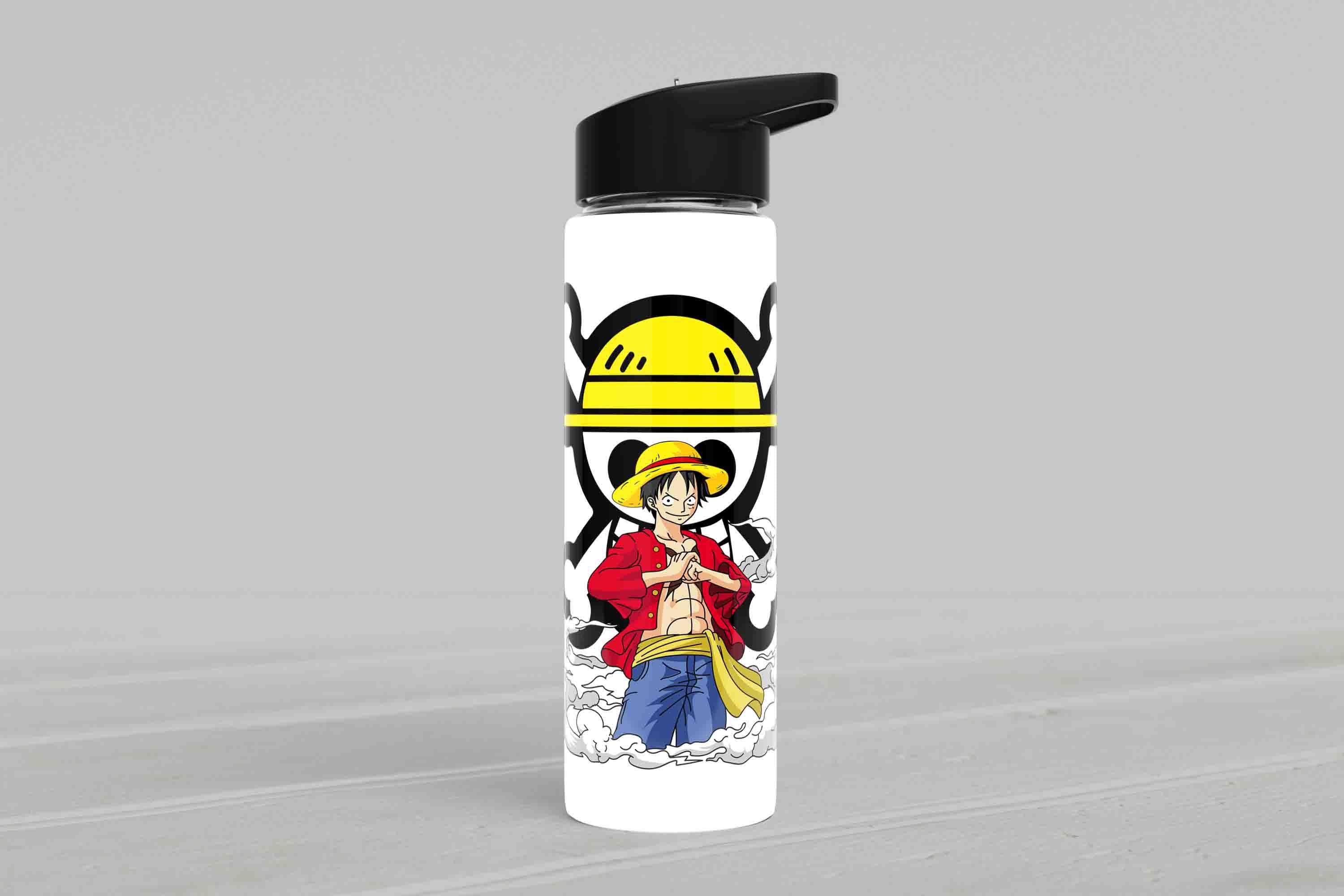 Pirate King metal Water Bottle (750 ml)